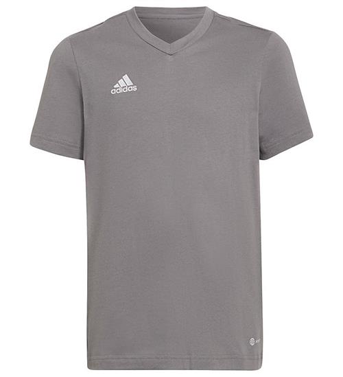 adidas Performance T-shirt - Ent22 Tee Y - GrÃ¥/Hvid