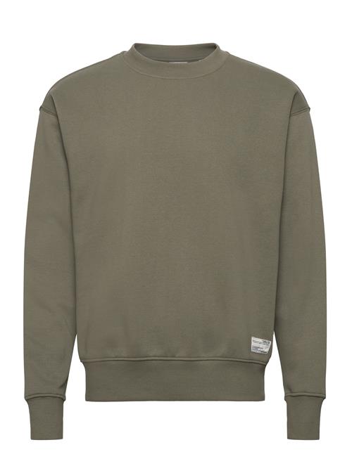 Sdlenz Crew Sw Solid Green