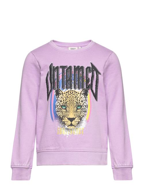 Kmglucinda Reg L/S Untamed Box Swt Kids Only Pink