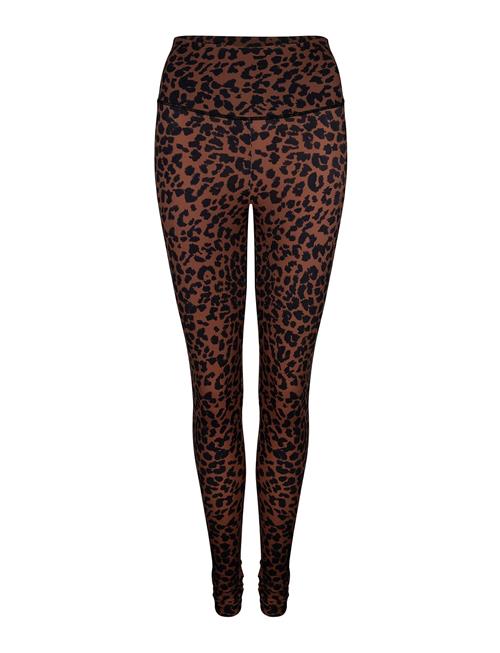 Jaguar Love Stories Brown