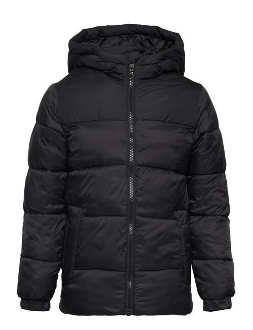 Se Jack & Jones Jjetoby Puffer Hood Sn Jnr Jack & J S Black ved Booztlet