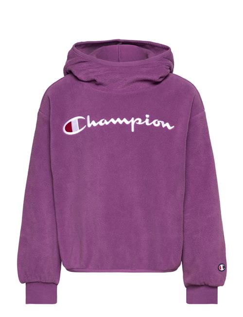 Se Champion Hooded Sweatshirt Champion Purple ved Booztlet