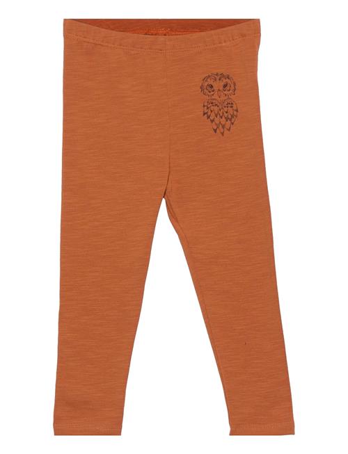 Se Soft Gallery Sgbaby Paula New Owl Leggings Soft Gallery Brown ved Booztlet