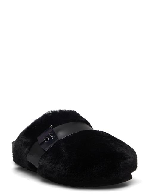 Se Scholl Sl Alberta Suede Black Scholl Black ved Booztlet