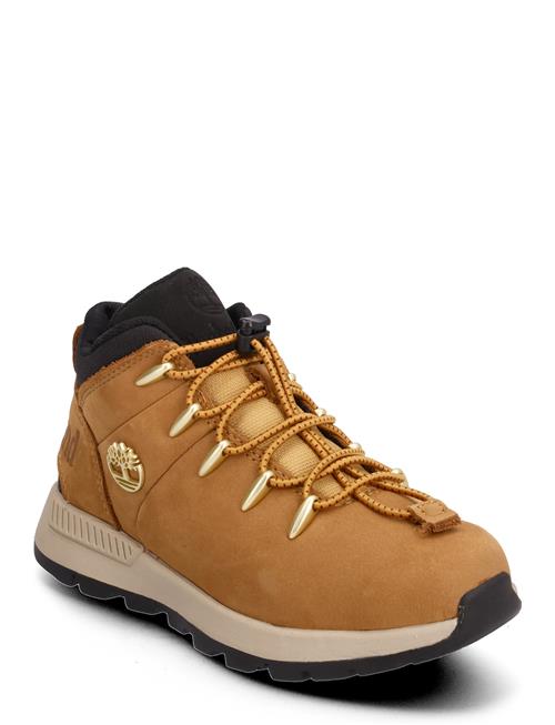 Timberland Mid Lace Sneaker Spri Wheat Timberland