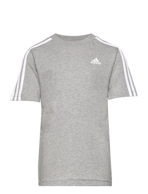 U 3S Tee Adidas Sportswear White