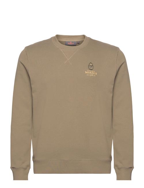 Carter Sweatshirt Morris Khaki