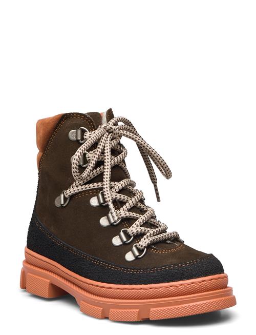 ANGULUS Boots - Flat - With Laces ANGULUS Brown