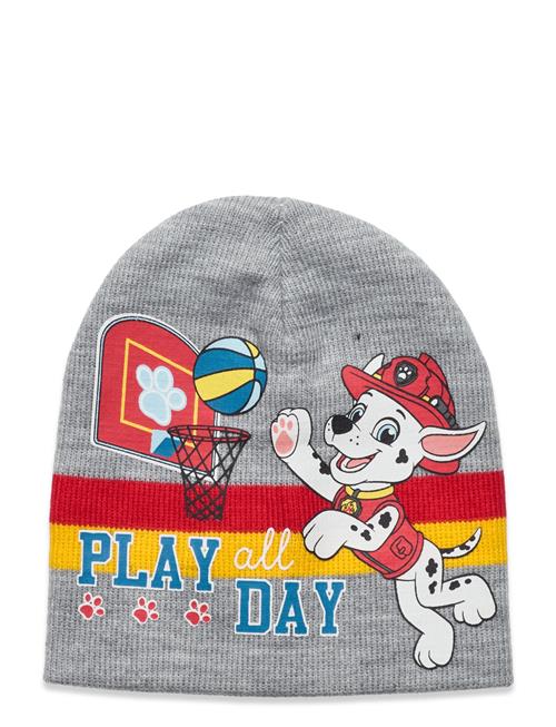 Se Paw Patrol Cap Paw Patrol Grey ved Booztlet