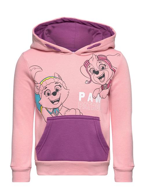 Se Paw Patrol Sweat Kangourou Paw Patrol Pink ved Booztlet