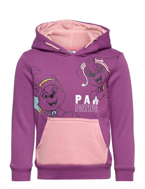 Paw Patrol Sweat Kangourou Paw Patrol Purple