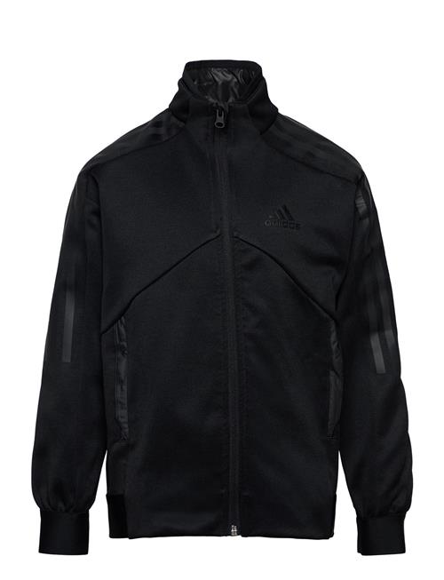 B Tsup Ttop Adidas Sportswear Black