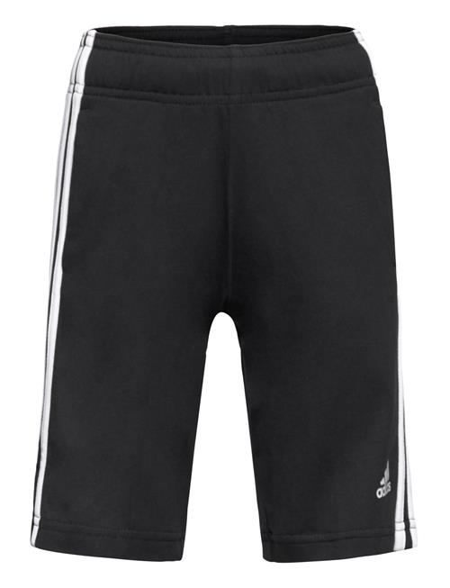 adidas Sportswear U 3S Kn Sho Adidas Sportswear Black