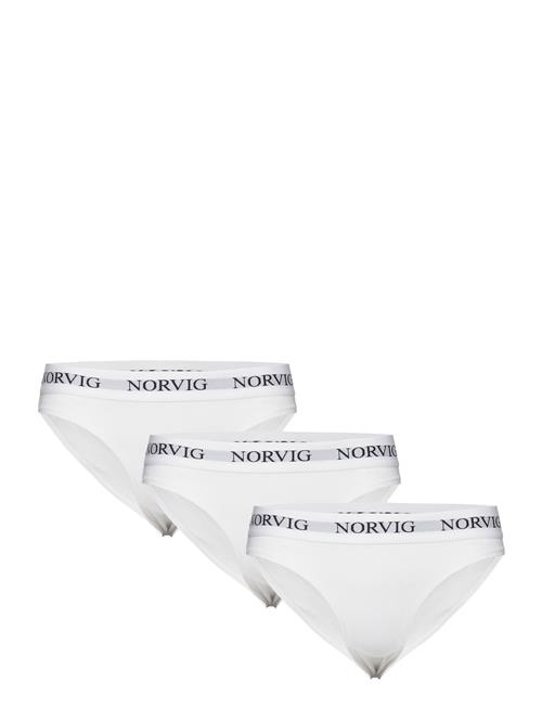 Se NORVIG 3-Pack Womens Bikini Brief NORVIG White ved Booztlet