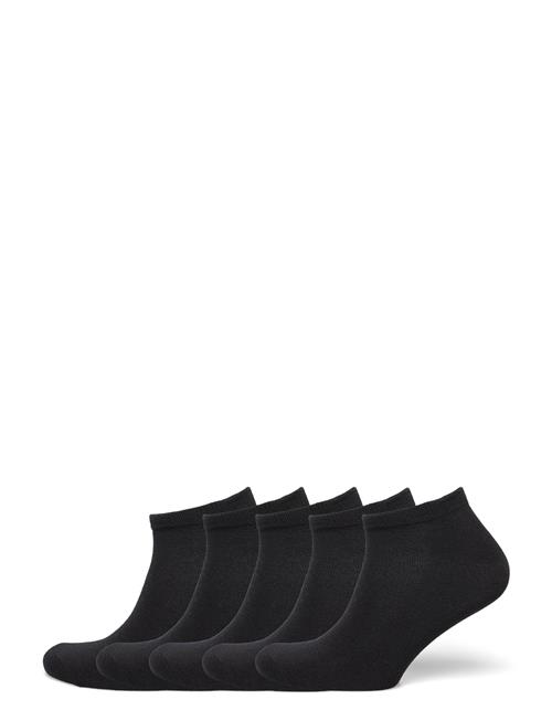 NORVIG 5-Pack Ladies Footie NORVIG Black