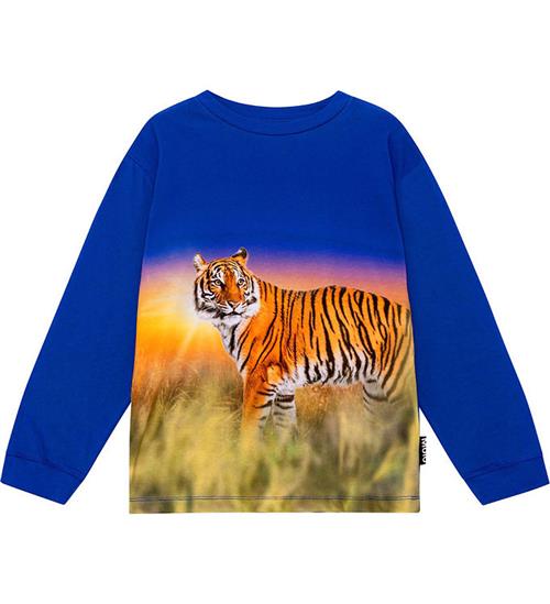 Se Molo Molo Bluse - Rube - Tiger Reef ved KidsWorld