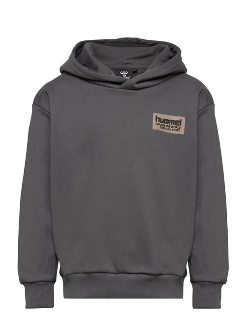 Hmldare Hoodie Hummel Grey