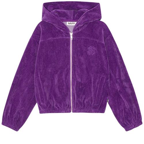 Molo Madeleine Hættetrøje Purple Dusk | Lilla | 122 cm