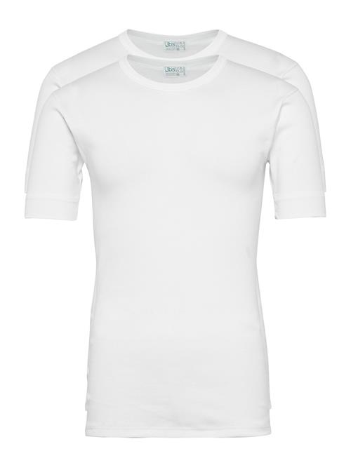 JBS Jbs T-Shirt 2-Pack Organic JBS White