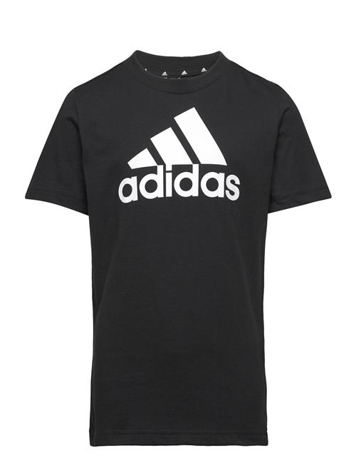 adidas Performance Lk Bl Co Tee Adidas Performance Black