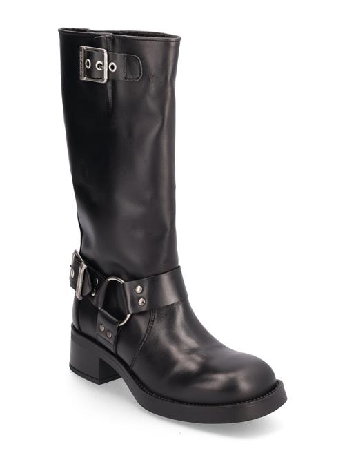 Beau Boot Steve Madden Black