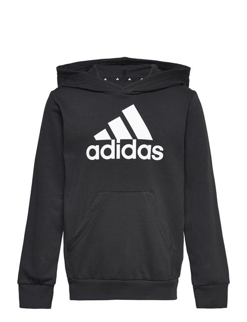 adidas Performance Lk Bl Ft Hd Adidas Performance Black