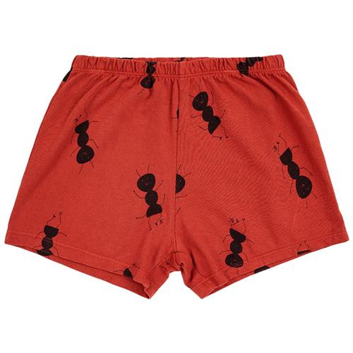 Se Bobo Choses Ant Mønstrete Baby-shorts Rød | Rød | 9 months ved Babyshop