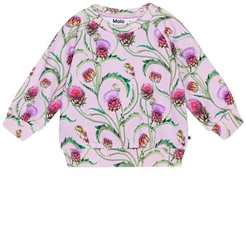 Molo GOTS Disc Sweatshirt Artichoke Mini 56 cm  Lyserød  56 cm  kvinde