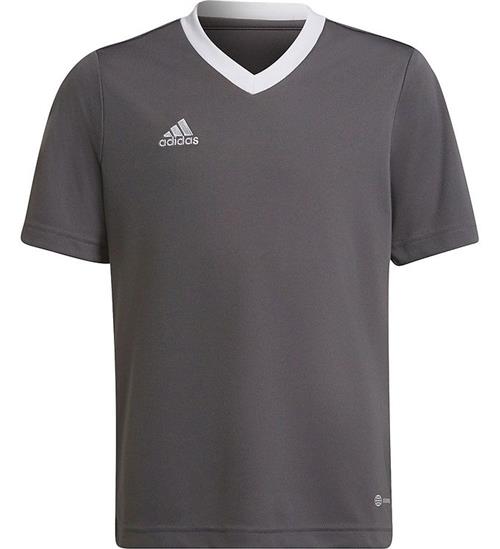 Se adidas Performance T-Shirt - ENT22 JSYY - GrÃ¥/Hvid ved KidsWorld