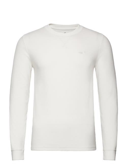 Hollister Hco. Guys Knits Hollister White