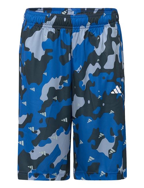 adidas Sportswear Train Essentials Seasonal Aeroready Allover Print Regular-Fit Shorts Adidas Sportswear Blue