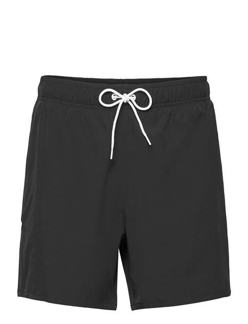 Hco. Guys Swim Hollister Black