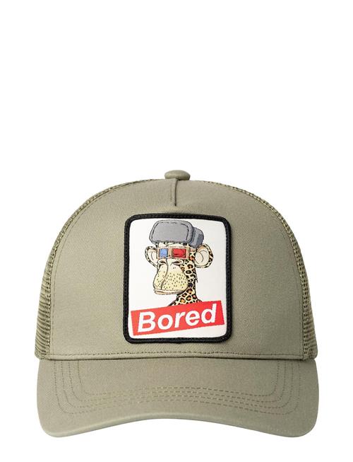 Se LMTD Nlmsinus Boredorfd Cap Box Sky LMTD Khaki ved Booztlet