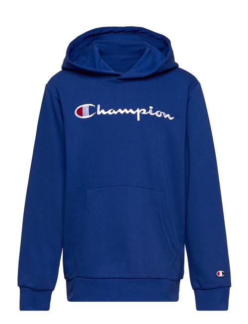 Champion Hooded Sweatshirt Champion Blue