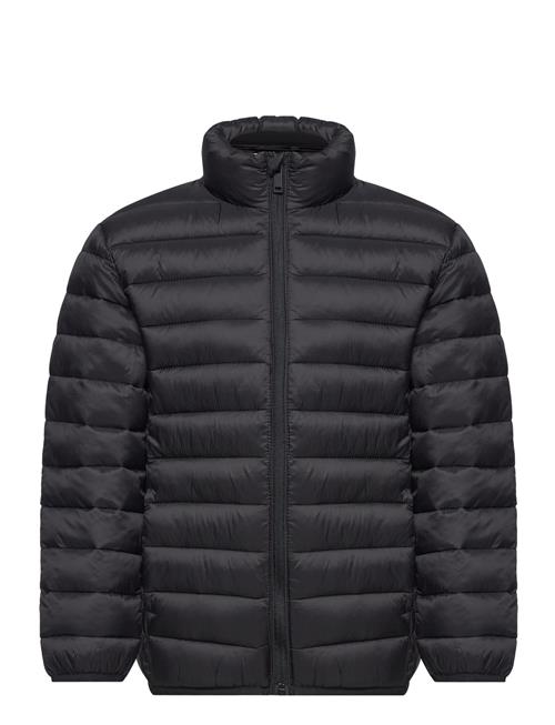 Se Mango Quilted Jacket Mango Black ved Booztlet