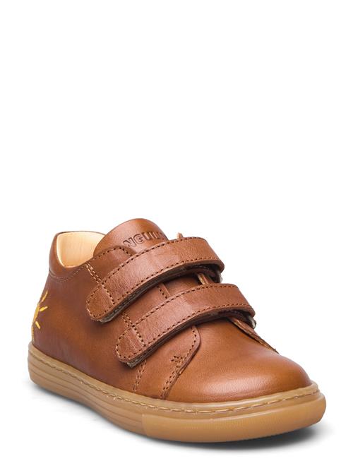 Shoes - Flat - With Velcro ANGULUS Brown