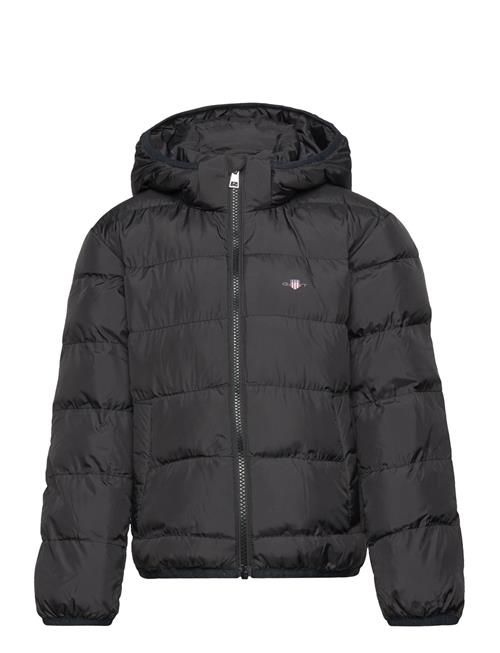 Se GANT Light Padded Shield Jacket GANT Black ved Booztlet