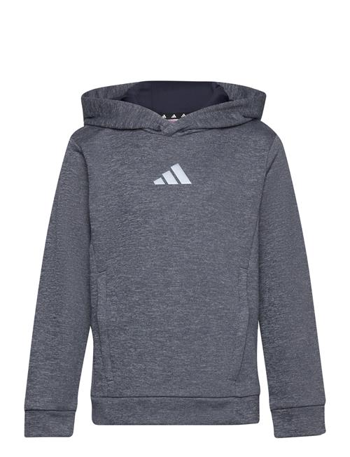 J Hea Hoodie Adidas Performance Grey