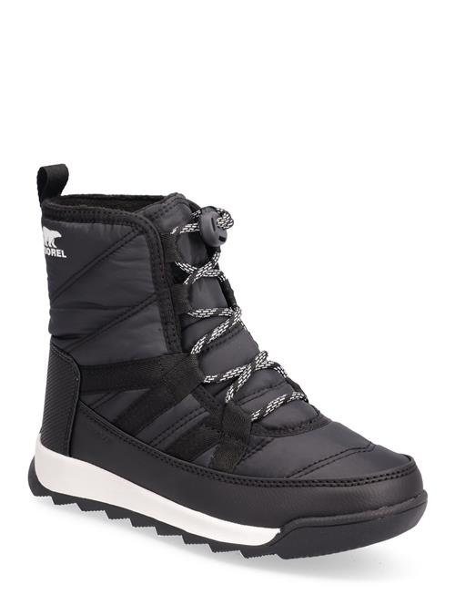 Se Sorel Youth Whitney Ii Short Lace Wp Sorel Black ved Booztlet