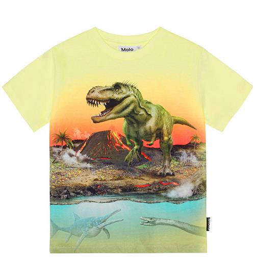 Molo Molo T-shirt - Riley - Volcano Dino