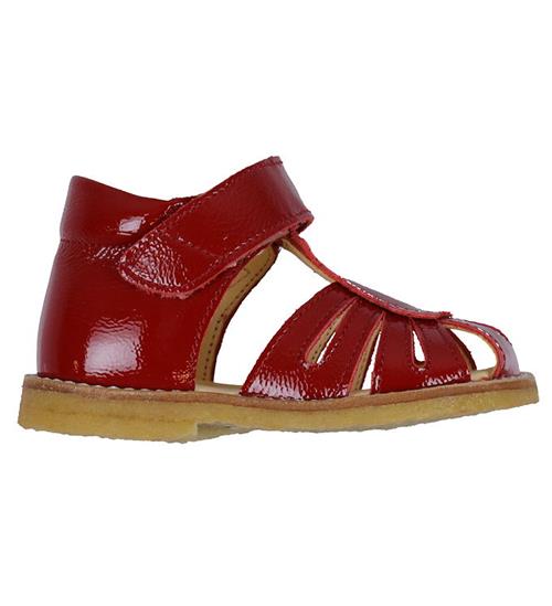 Angulus Angulus Sandaler - Begynder - Dark Red