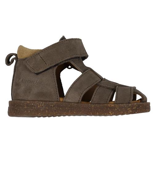 Se Angulus Angulus Sandaler - Begynder - dark Taupe/Camel ved KidsWorld