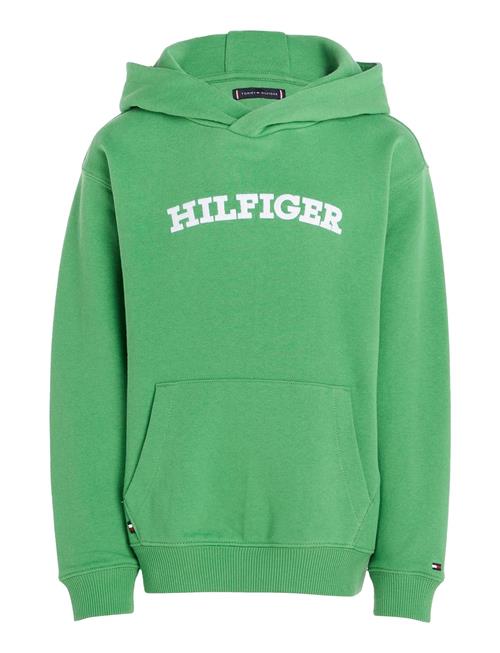 Se Tommy Hilfiger Hilfiger Arched Hoodie Tommy Hilfiger Green ved Booztlet