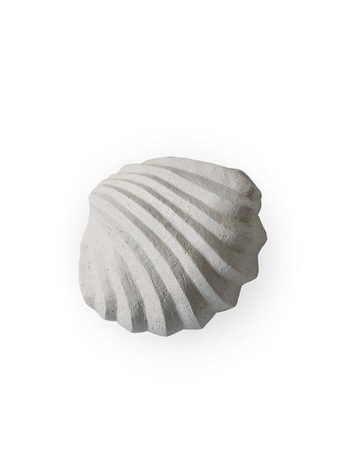 Se Cooee Design Sculpture The Clam Shell Limest Cooee Design Cream ved Booztlet