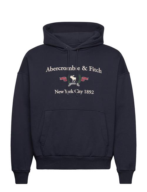 Se Abercrombie & Fitch Anf Mens Sweatshirts Abercrombie & Fitch Blue ved Booztlet