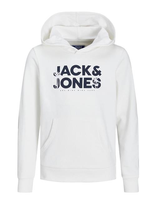 Jack & Jones Jjembro Palm Sweat Hood Jnr Jack & J S White