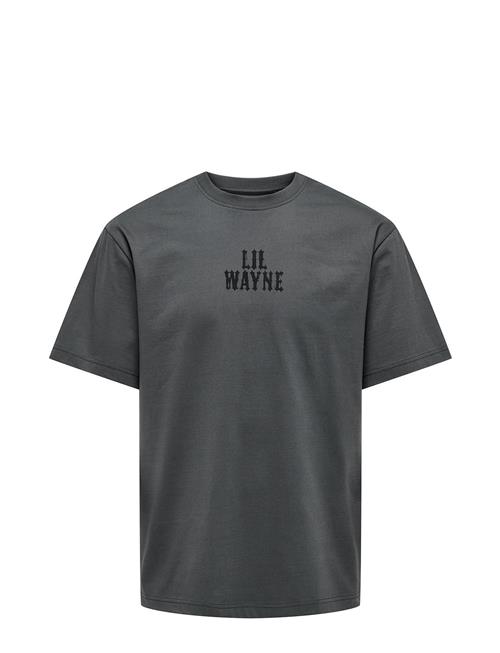 ONLY & SONS Onslilwayne Life Rlx Ss Tee ONLY & SONS Grey