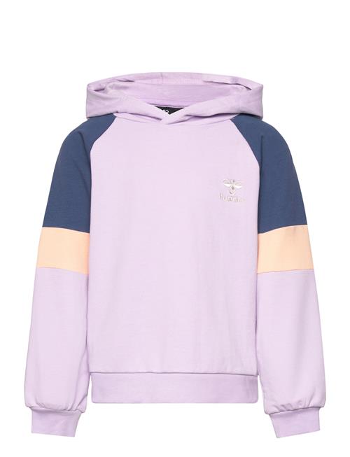 Se Hummel Hmlelly Hoodie Hummel Purple ved Booztlet