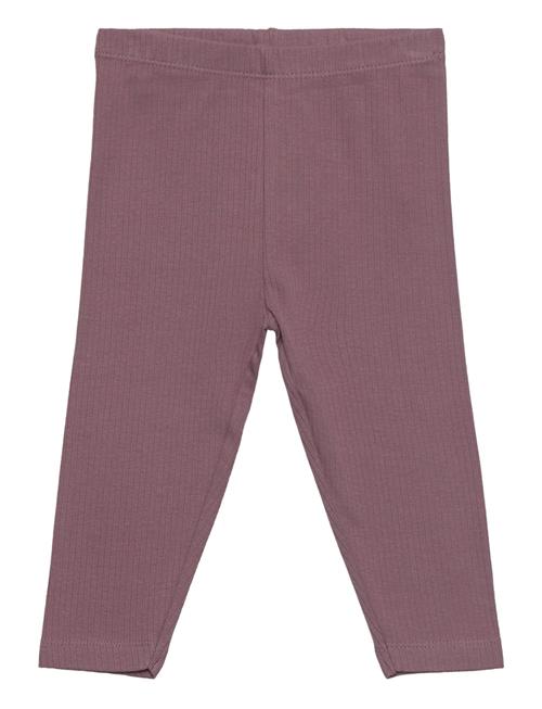 Fixoni Leggings Fixoni Purple