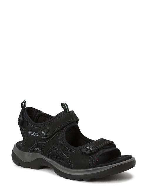 Se ECCO Offroad ECCO Black ved Booztlet